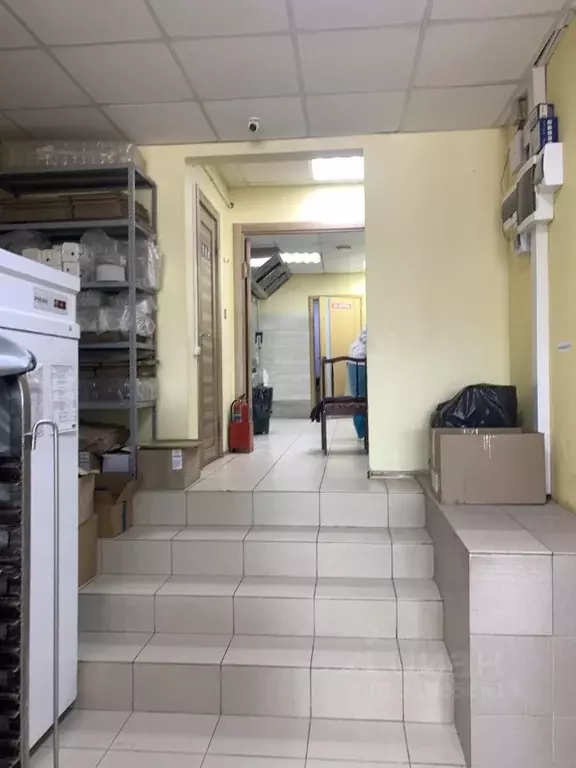 Торговая площадь в Ханты-Мансийский АО, Сургут Университетская ул., 21 ... - Фото 1