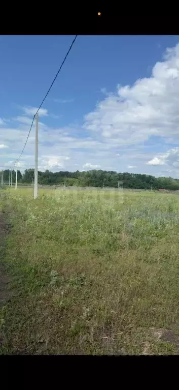 Участок в Белгородская область, Белгородский район, с. Стрелецкое ул. ... - Фото 2