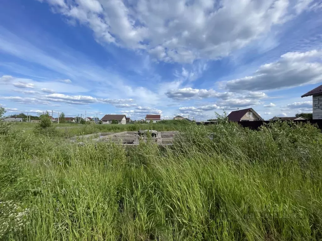Участок в Ленинградская область, Приозерский район, Красноозерное ... - Фото 1