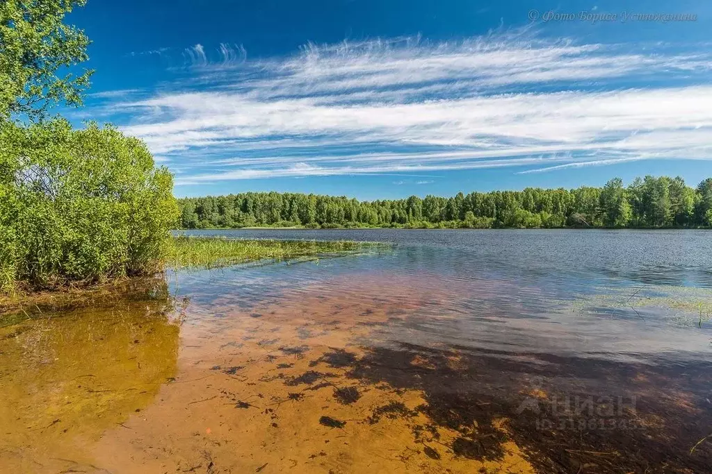 Дом в Вологодская область, Череповецкий район, Судское с/пос, д. ... - Фото 1