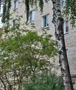 3-к кв. Московская область, Рошаль ул. Свердлова, 24 (50.5 м) - Фото 0