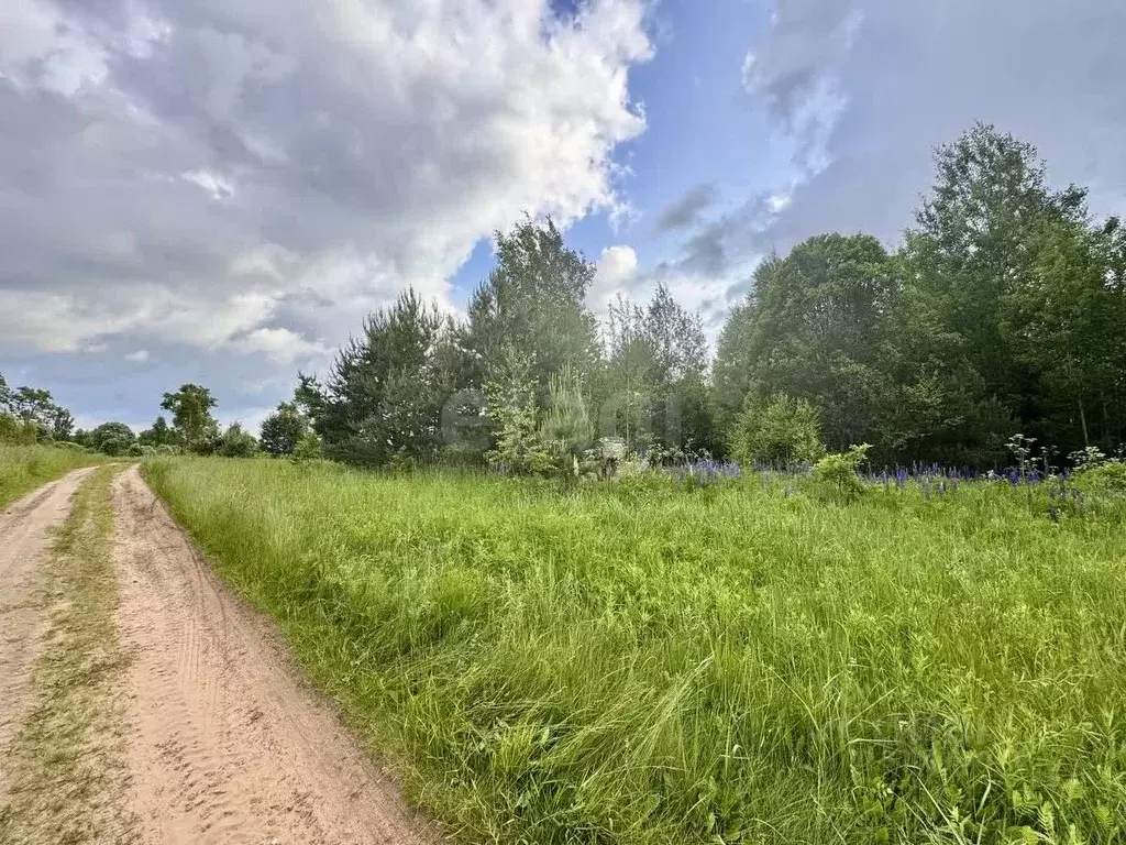 Участок в Смоленская область, Ярцево ул. Рябиновая, 12 (12.0 сот.) - Фото 1