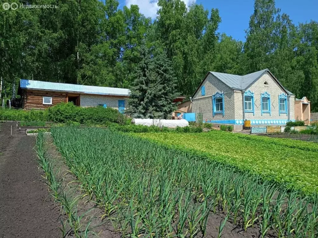 Дом в Преображенский сельсовет, деревня Игинка, Лесная улица (48.1 м) - Фото 0