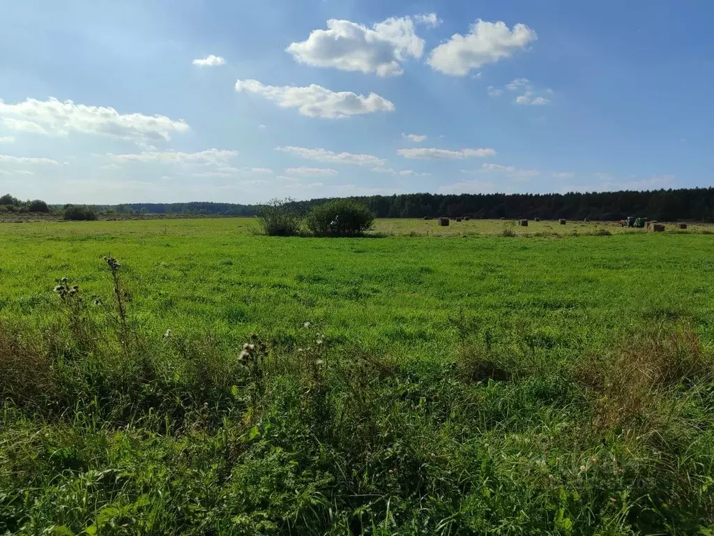 Участок в Московская область, Орехово-Зуевский городской округ, д. ... - Фото 0