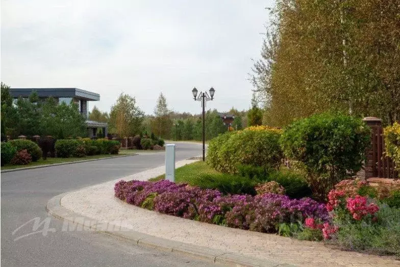 Участок в Московская область, Рузский муниципальный округ, Эмеральд ... - Фото 2