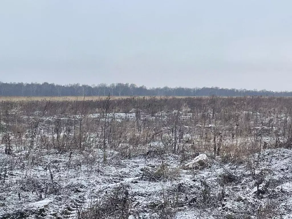 Участок в Московская область, Бронницы  (6.0 сот.) - Фото 0