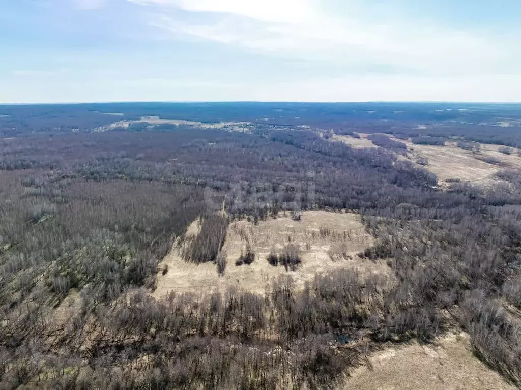 Участок в Новосибирская область, Новосибирский район, Березовский ... - Фото 2