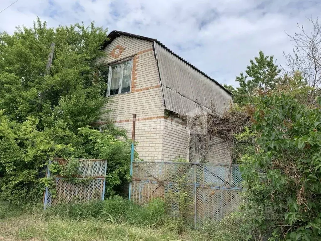 Дом в Ростовская область, Белокалитвинское городское поселение, Нива ... - Фото 1