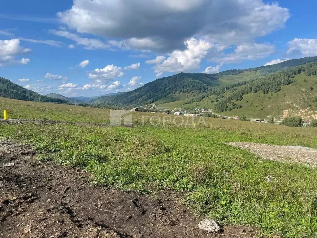 Участок в Алтай, Майминский район, с. Бирюля ул. Таркольская, 6 (15.0 ... - Фото 1