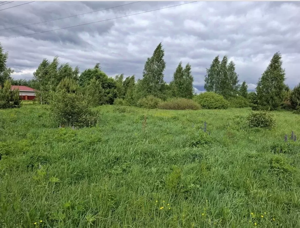 Участок в Московская область, Орехово-Зуевский городской округ, д. ... - Фото 1