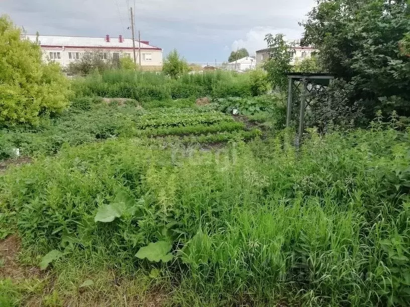 3-к кв. Курганская область, Шадринский муниципальный округ, с. Красная ... - Фото 2