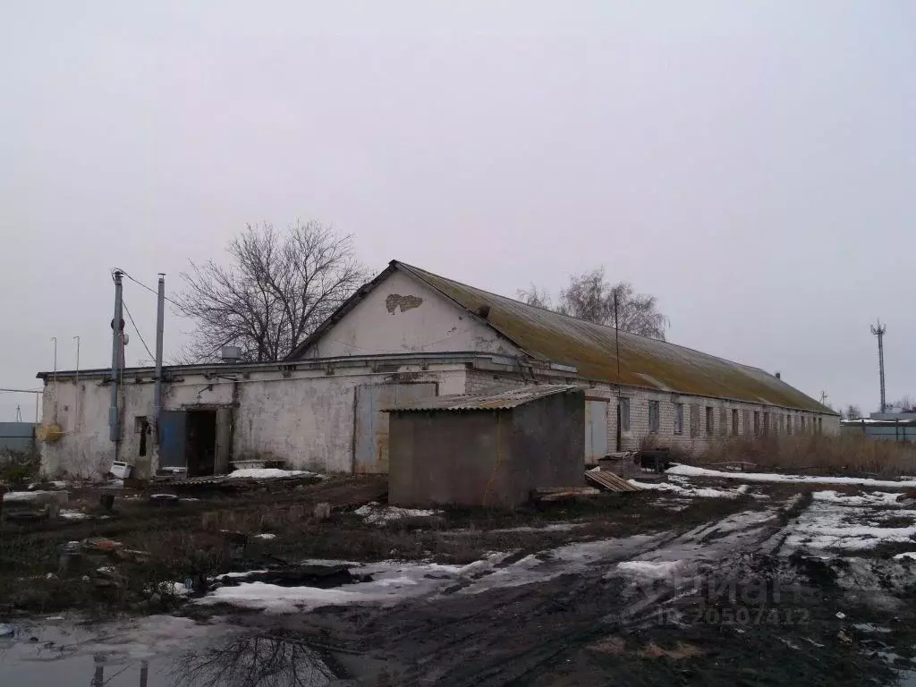 Производственное помещение в Саратовская область, Тарханы ст. ул. ... - Фото 1