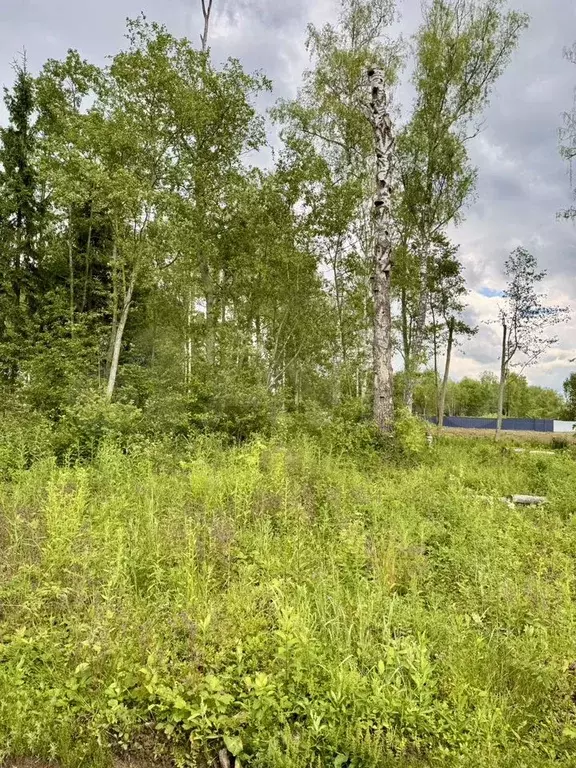 Участок 5,1 сот. (ИЖС) - Фото 1