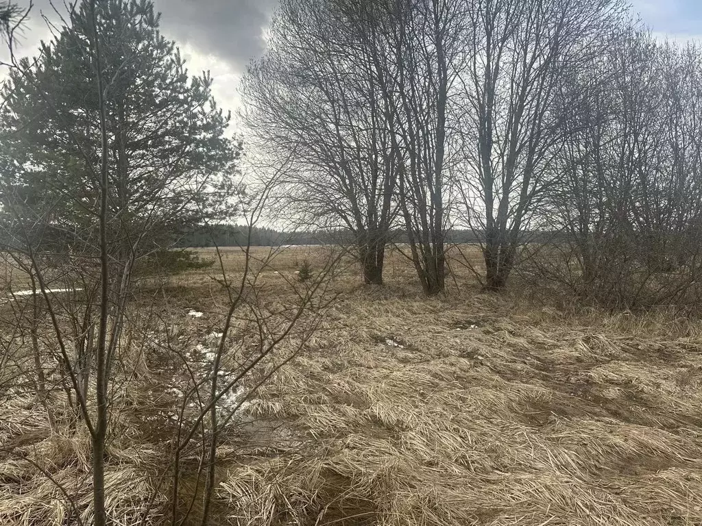 Участок в Московская область, Рузский муниципальный округ, д. ... - Фото 1