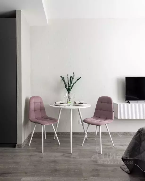 Студия Санкт-Петербург Витебский просп., 99к1 (25.2 м) - Фото 1