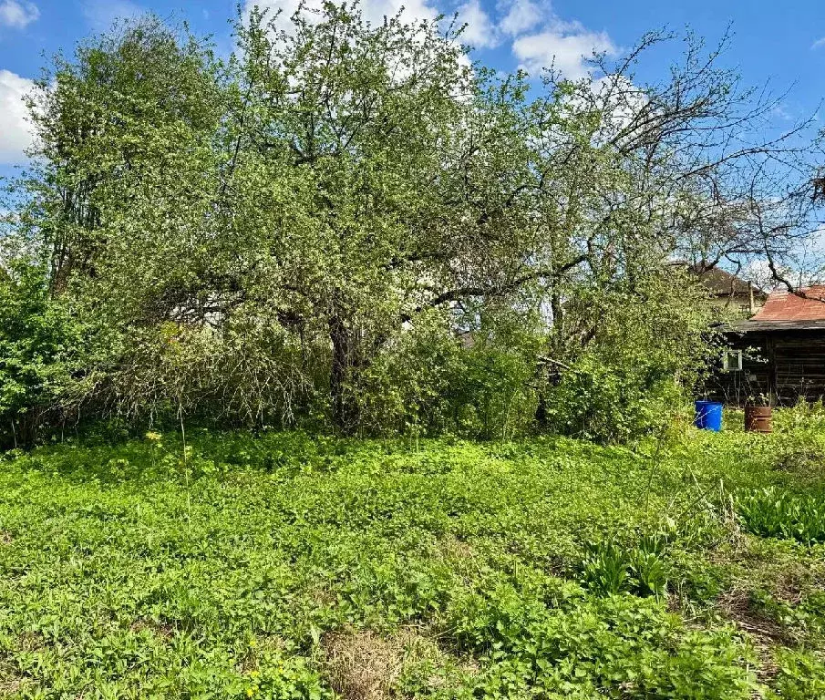 Продается участок в г. Дедовск - Фото 1