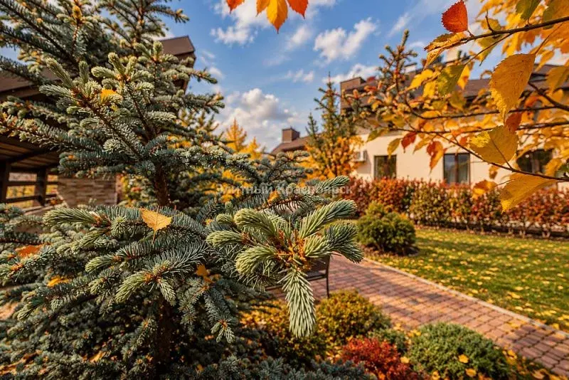 Коттедж в Красноярский край, Дивногорск городской округ, пос. Манский ... - Фото 2