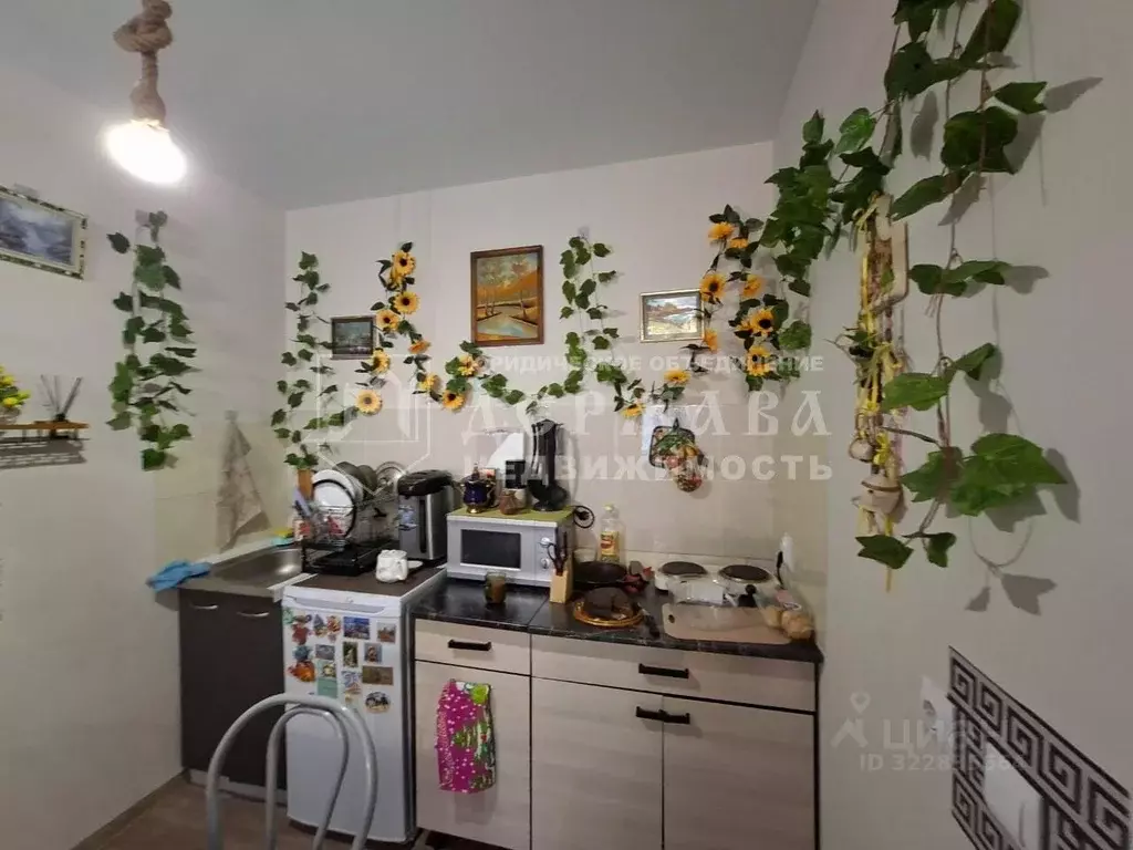 Студия Кемеровская область, Кемерово ул. Ворошилова, 36Б (34.9 м) - Фото 2