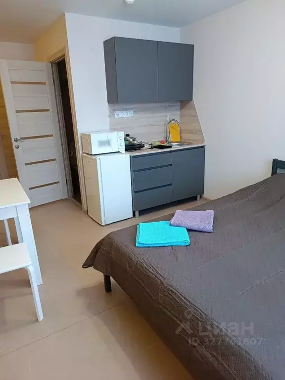 Студия Владимирская область, Владимир ул. 850-летия, 1/46 (27.0 м) - Фото 2