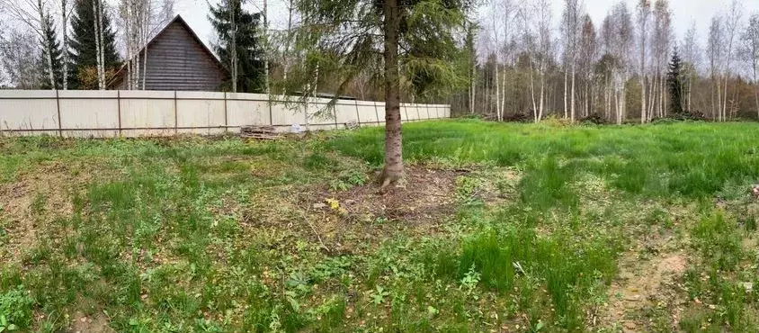 Участок 13,2 сот. (СНТ, ДНП) - Фото 0