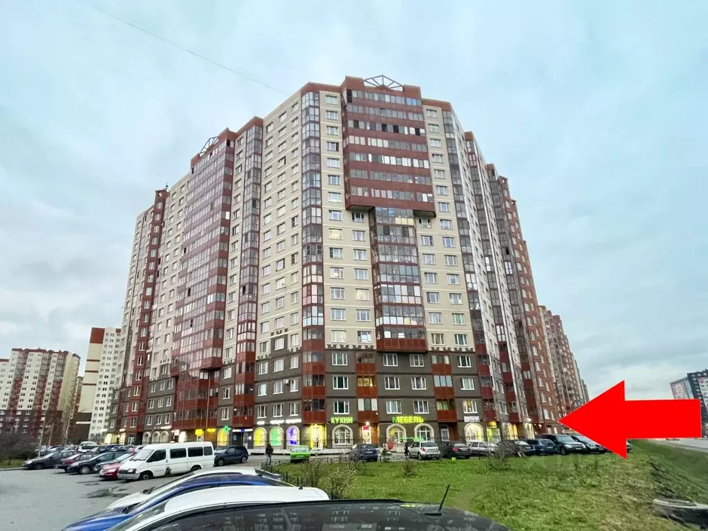 Помещение свободного назначения в Ленинградская область, Мурино ... - Фото 1