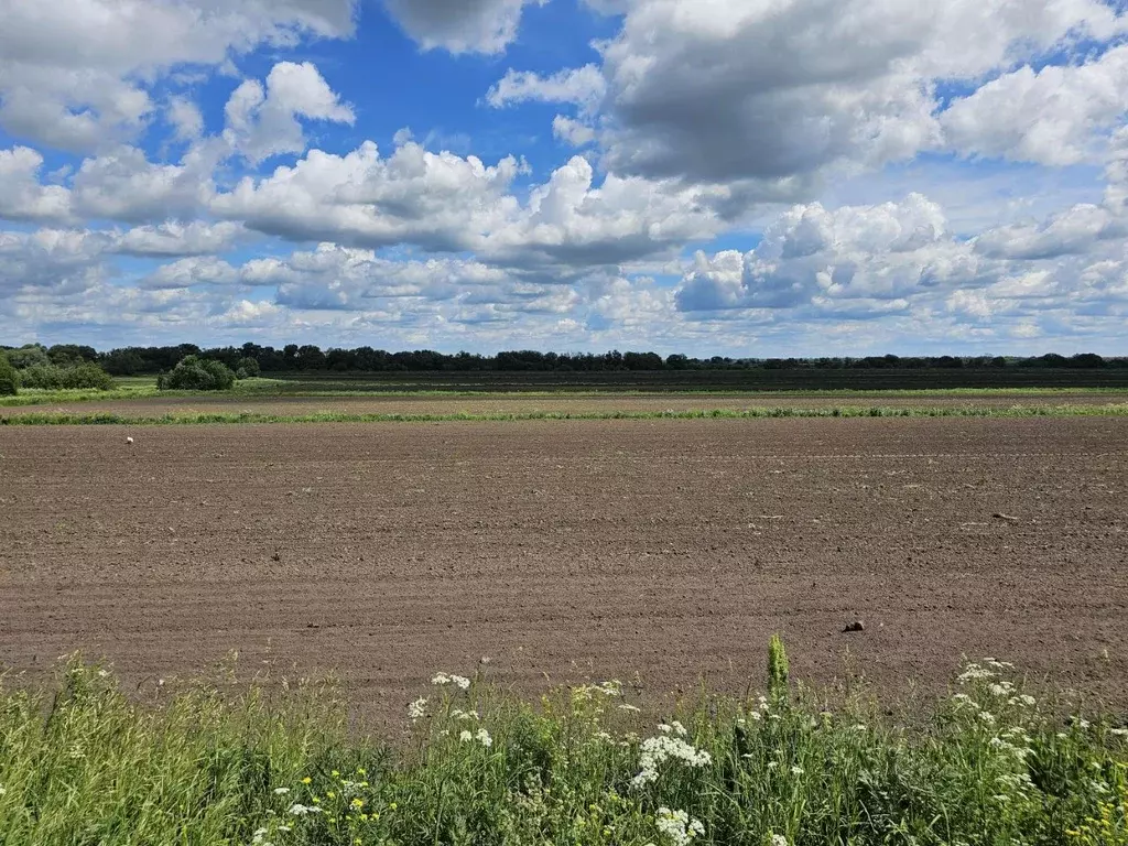 Участок в Московская область, Луховицы муниципальный округ, д. ... - Фото 1