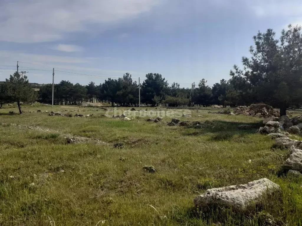 Участок в Севастополь Янтарь садоводческое товарищество,  (4.0 сот.) - Фото 0