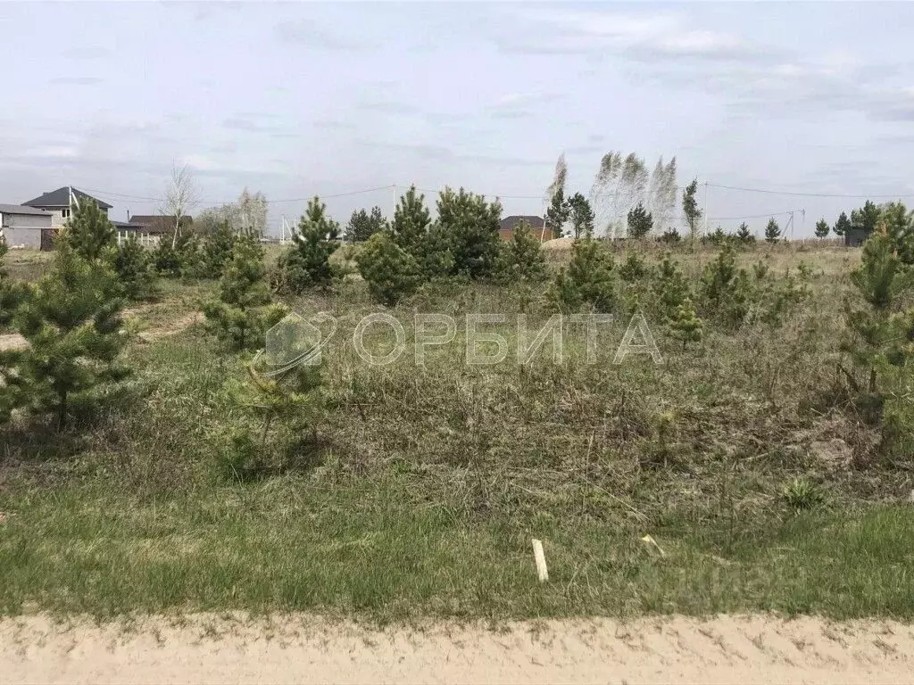 Участок в Тюменская область, Тюменский район, с. Мальково Новая ул., ... - Фото 0