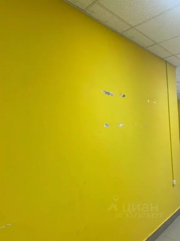 Помещение свободного назначения в Санкт-Петербург ул. Котина, 2К3 (41 ... - Фото 2