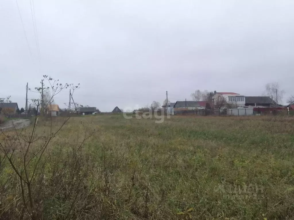 Участок в Брянская область, Выгоничский район, Кокинское с/пос, д. ... - Фото 1