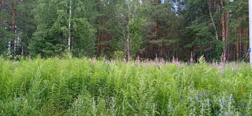 Участок в Свердловская область, Горноуральский городской округ, с. ... - Фото 0