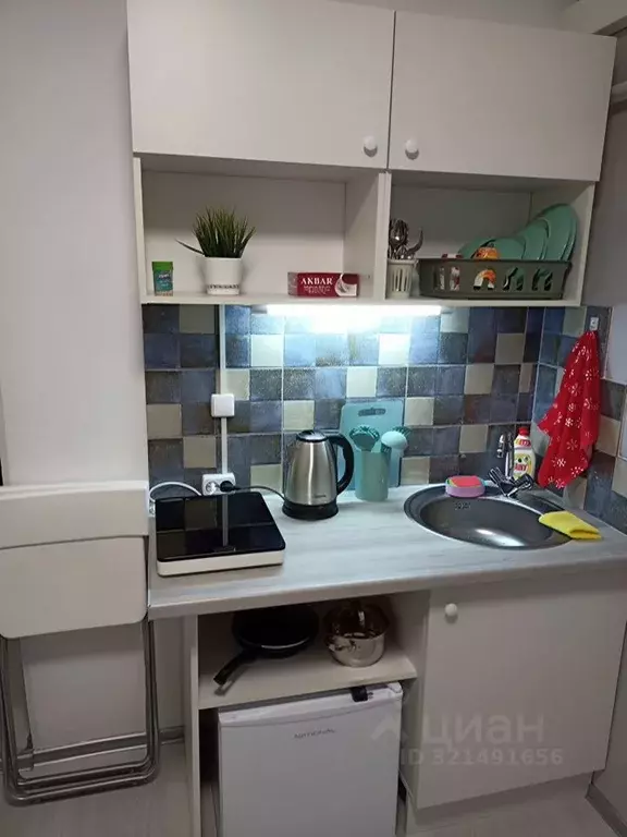 Студия Санкт-Петербург просп. Луначарского, 70К1 (12.0 м) - Фото 0