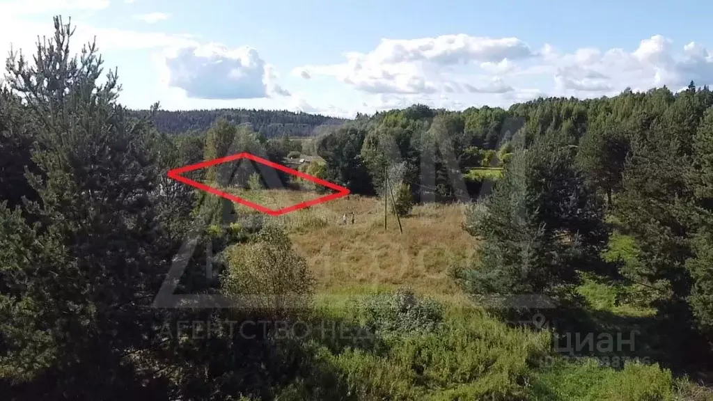 Участок в Ленинградская область, Приозерский район, Красноозерное ... - Фото 2
