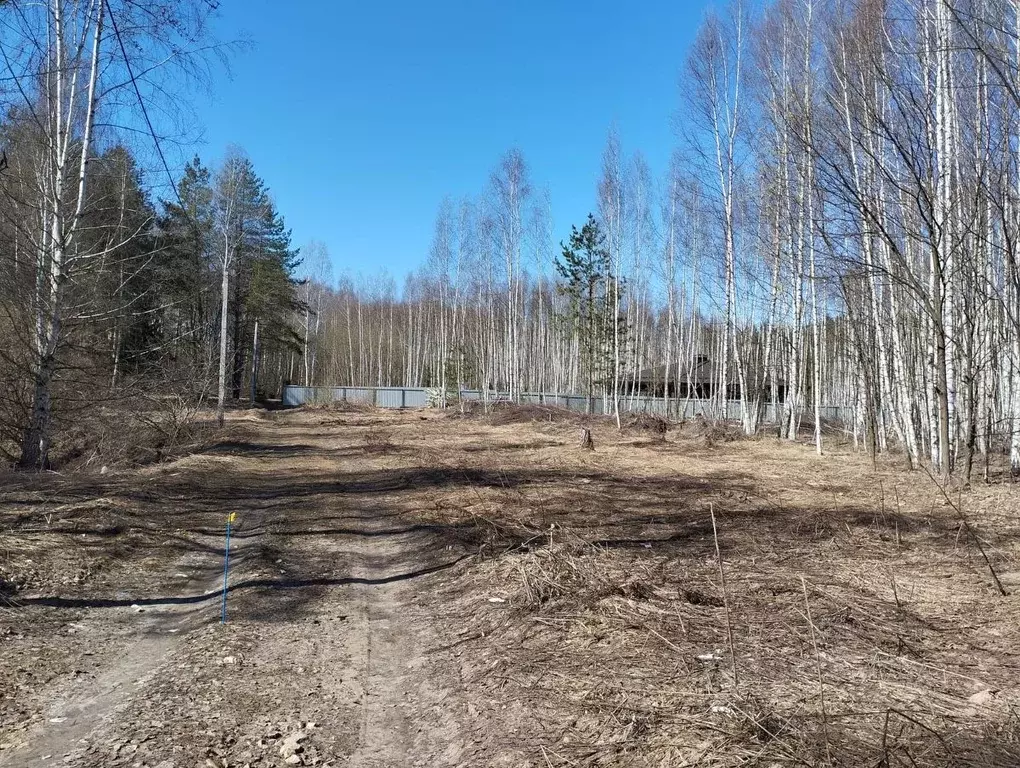 Участок в Нижегородская область, Кстово Медик ТИЗ,  (12.5 сот.) - Фото 1