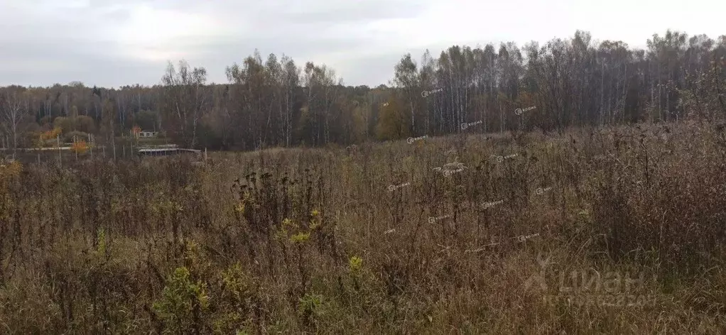 Участок в Тульская область, Киреевский район, Красноярское ... - Фото 2