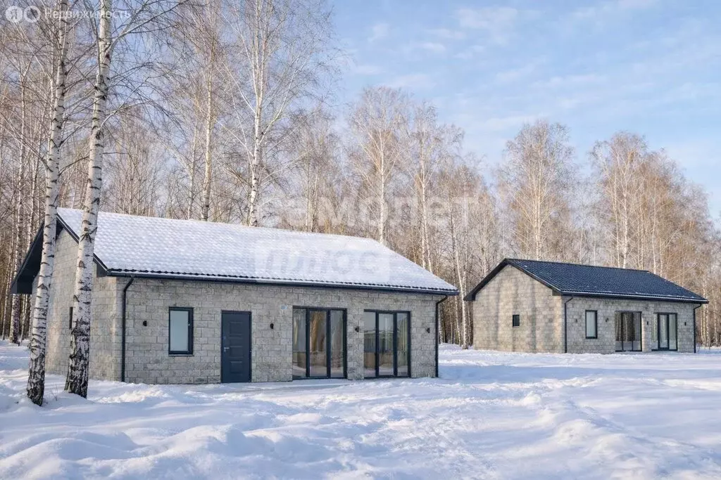 Дом в Томск, посёлок Басандайка (90 м) - Фото 1