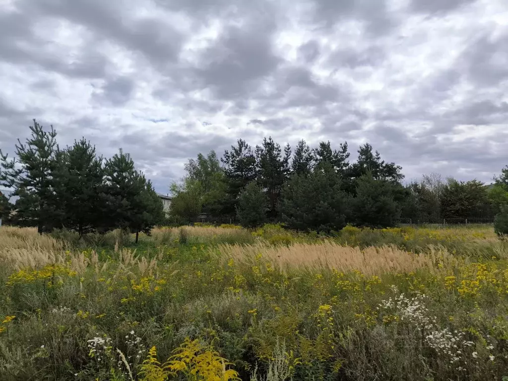 Участок в Московская область, Раменский муниципальный округ, с. Речицы ... - Фото 1