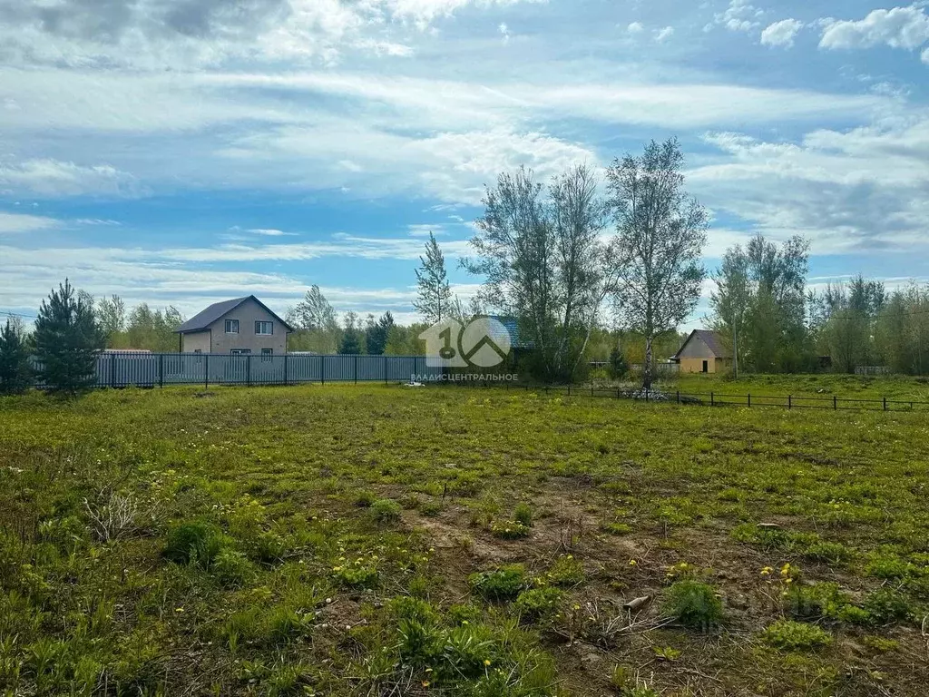 Участок в Новосибирская область, Новосибирский район, Кубовинский ... - Фото 2
