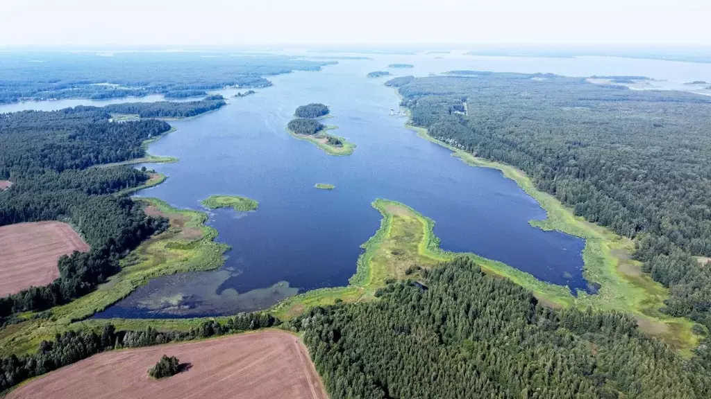 Участок в Тверская область, Конаковский муниципальный округ, д. ... - Фото 2
