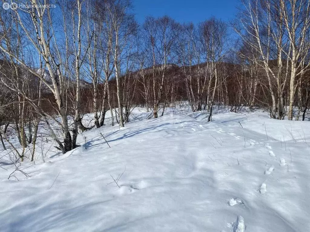 Участок в Камчатский край, Мильковский муниципальный округ, село ... - Фото 1