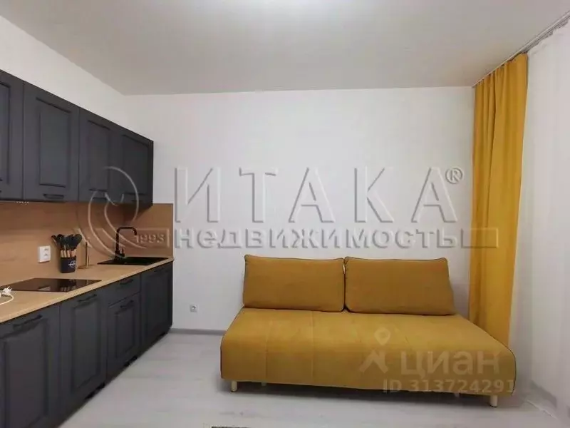 Студия Санкт-Петербург просп. Буденного, 23к1 (25.0 м) - Фото 0