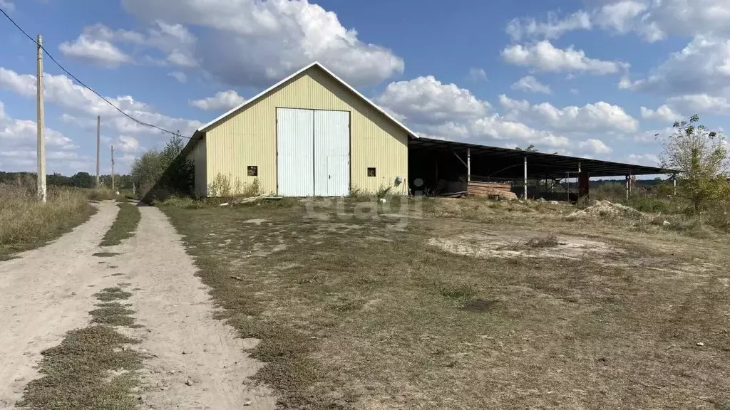 Помещение свободного назначения в Белгородская область, Белгородский ... - Фото 0