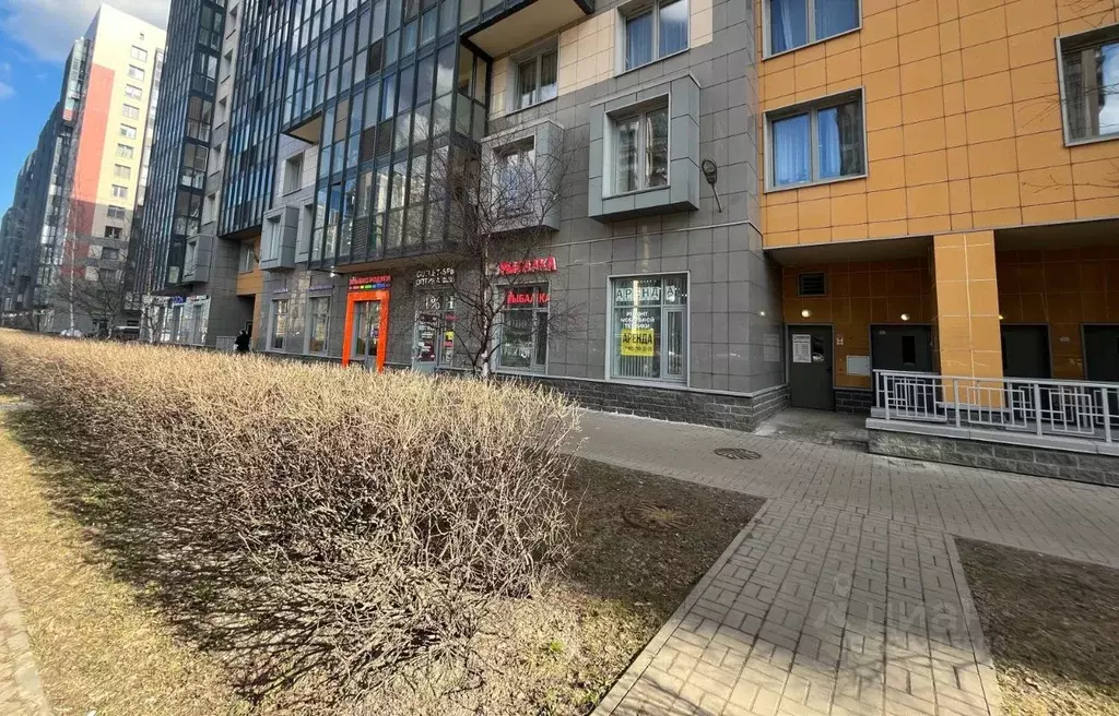 Помещение свободного назначения в Санкт-Петербург ул. Адмирала ... - Фото 1