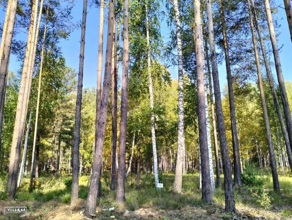 Участок в Свердловская область, Сысертский городской округ, пос. ... - Фото 0