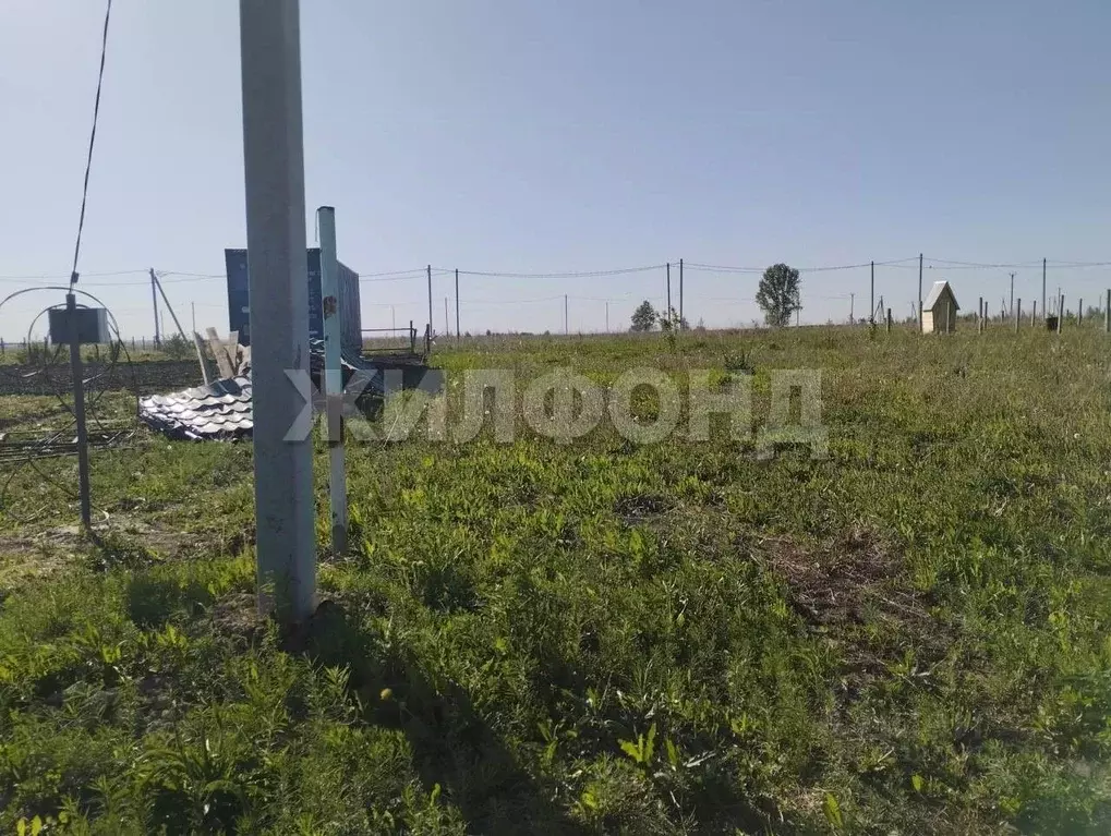 Участок в Новосибирская область, Колывань городское поселение, Дачная ... - Фото 2