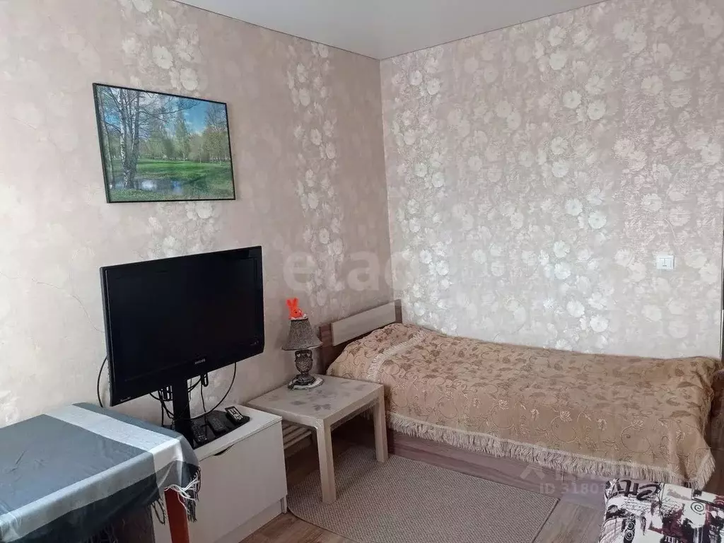 1-к кв. Мордовия, Ромодановский район, пос. Садовский Центральная ул., ... - Фото 2