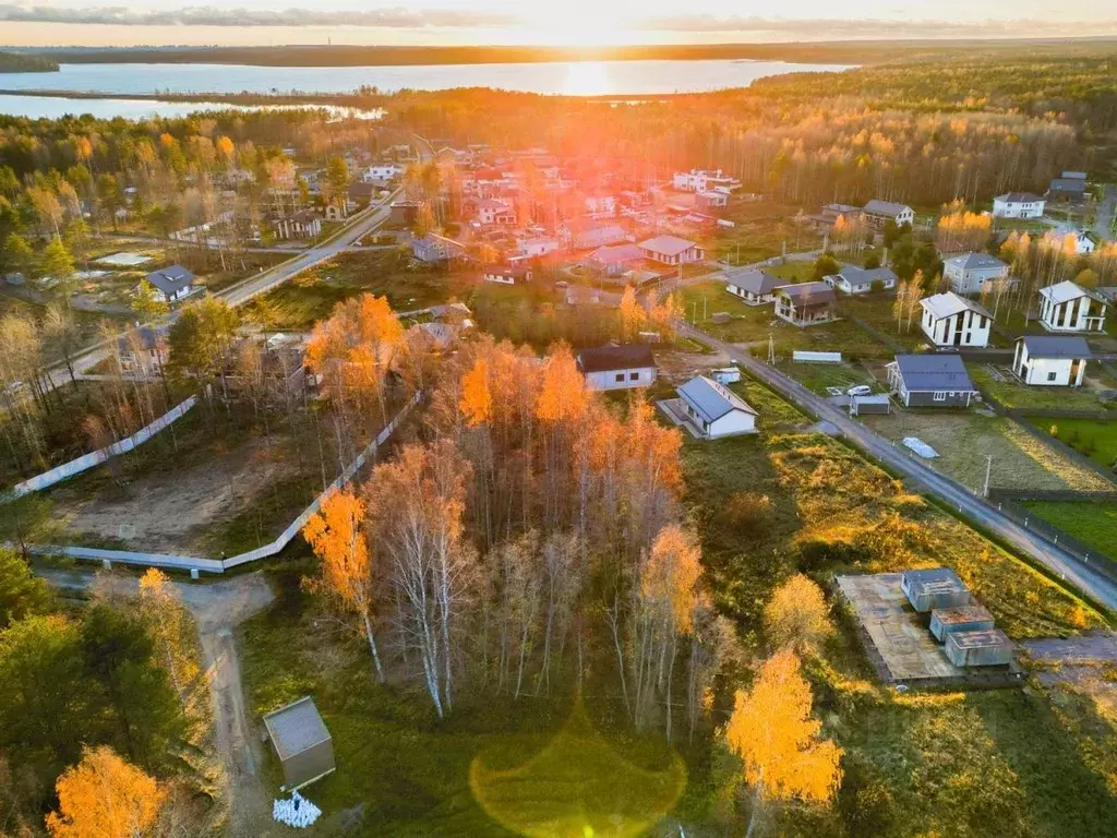 Участок в Ленинградская область, Всеволожский район, Лесколовское ... - Фото 0