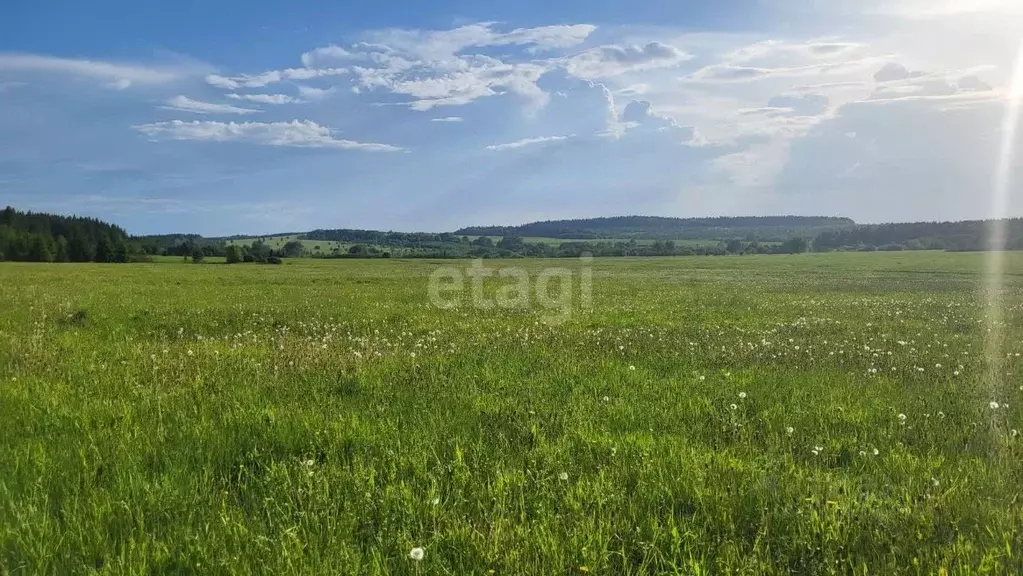 Участок в Пермский край, с. Лобаново ул. Хрустальная (5.5 сот.) - Фото 1