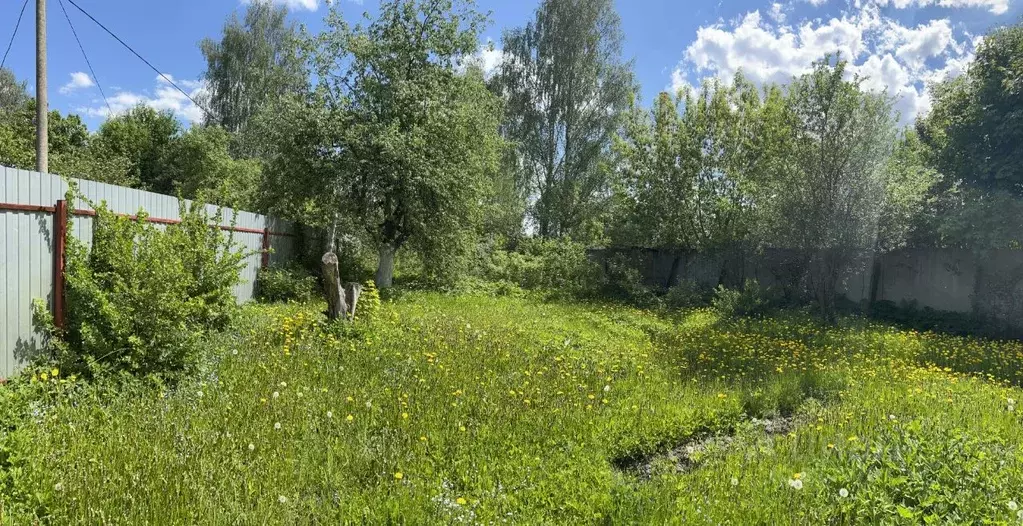 Участок в Московская область, Богородский городской округ, Химик ... - Фото 1