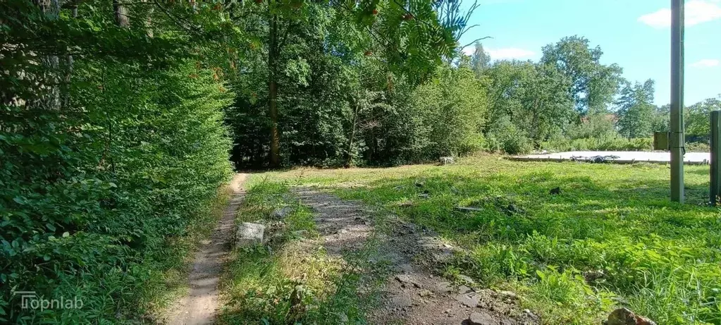 Участок в Калининградская область, Калининград Дивное СНТ,  (7.0 сот.) - Фото 2